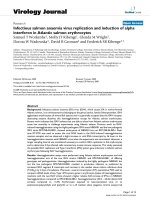 Báo cáo hóa học: 