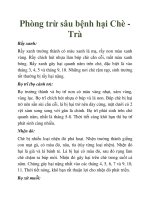 Phòng trừ sâu bệnh hại Chè Trà doc