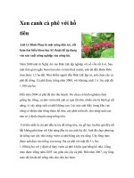 Xen canh cà phê với hồ tiêu potx