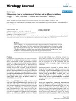 Báo cáo hóa học: 