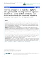 báo cáo hóa học: 