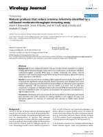 Báo cáo hóa học: 