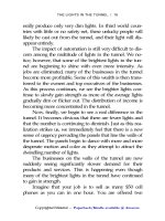 The Lights in the Tunnel Automation Accelerating Technology and the Economy of the Future_2 ppt