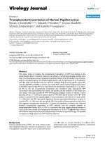 Báo cáo hóa học: 