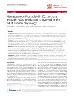 báo cáo hóa học: