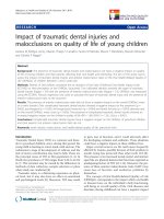 báo cáo hóa học: 