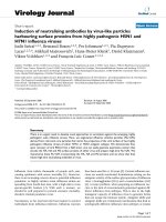 Báo cáo hóa học: 