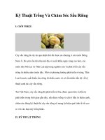 Kỹ Thuật Trồng Và Chăm Sóc Sầu Riêng docx