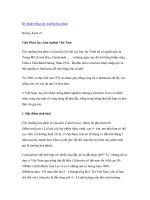 Nghiên cứu khoa học 