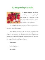 Kỹ Thuật Trồng Vải Thiều doc