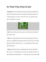 Kỹ Thuật Trồng Mướp Sai Quả docx