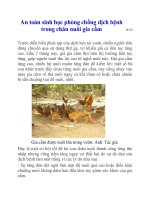 An toàn sinh học phòng chống dịch bệnh trong chăn nuôi gia cầm ppt