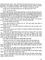 Giáo trình vi sinh vật học công nghiệp part 4 ppt