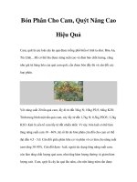 Bón Phân Cho Cam, Quýt Nâng Cao Hiệu Quả pot