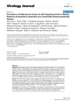 Báo cáo hóa học: 