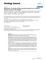 Báo cáo hóa học: 