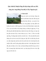 Quy trình kỹ thuật trồng sắn đạt năng suất cao, bền vững cho vùng Đông Nam Bộ và Tây Nguyên (p1) potx