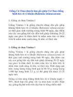 Giống Cà Chua chuyên làm gốc ghép docx