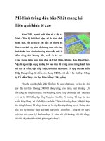 Mô hình trồng đậu bắp Nhật mang lại hiệu quả kinh tế cao doc