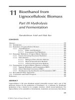 Handbook of plant based biofuels - Chapter 11 potx