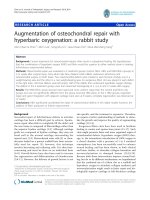 báo cáo hóa học: