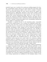 Harnessing the Power of Continuous Auditing_18 doc