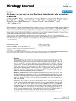 Báo cáo hóa học: 