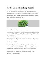 Một Số Giống Khoai Lang Rau Mới ppt