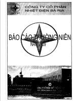 báo cáo thường niên 2009 cty cp nhiệt đện bà rịa