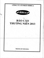 báo cáo thường niên 2013 cty cổ phần bibica