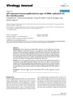 Báo cáo hóa học: 