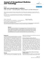 Báo cáo hóa học: 