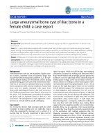 Agarwal et al. Journal of Orthopaedic Surgery and Research 2010, 5:24 ppt