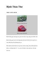 Bệnh Thán ThưTRIỆU CHỨNG BỆNH pot