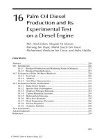 Handbook of plant based biofuels - Chapter 16 pot
