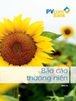 báo cáo thường niên 2013 pvcombank