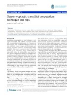 báo cáo hóa học: