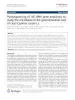 Báo cáo hóa học: 