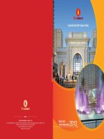 báo cáo thường niên 2013 vingroup