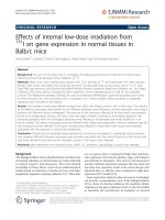 Báo cáo toán học: 