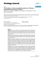 Báo cáo hóa học: 