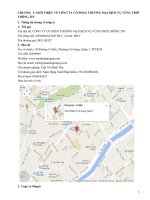 PHÂN TÍCH HOẠT ĐỘNG PHÂN PHỐI SẢN PHẨM TẠI CÔNG TY CỔ PHẦN THƯƠNG MẠI DỊCH VỤ VÙNG TRỜI THÔNG TIN (phần 2)