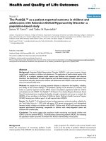 báo cáo hóa học: