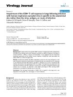 Báo cáo hóa học: 