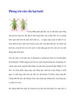 Phòng trừ câu cấu hại bưởi potx