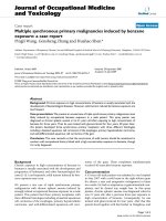 báo cáo hóa học: