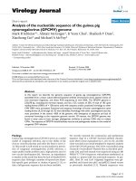 Báo cáo hóa học: 