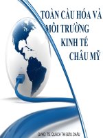 Toàn cầu hóa và môi trường kinh tế châu Mỹ pptx