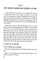 Kỹ thuật nuôi cá mú part 3 doc