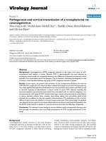 Báo cáo hóa học: 